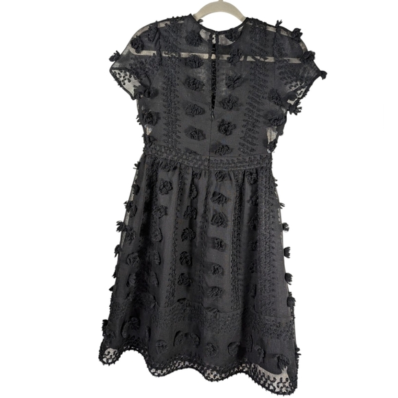 Anthropologie Sunday in Brooklyn Black Sheer Mesh Floral Appliqué Mini Dress 0 - Picture 4 of 15